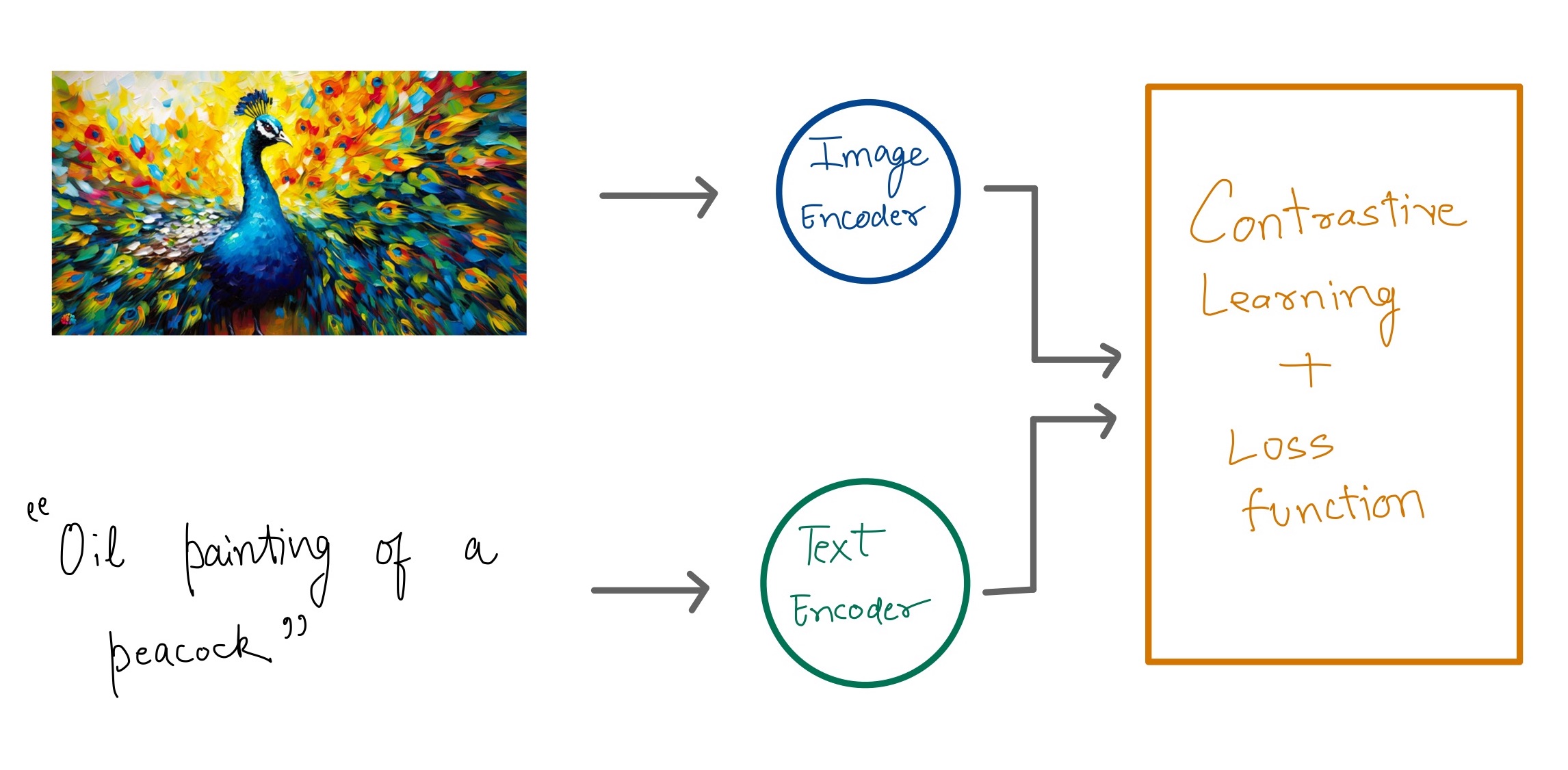 multimodal encoding