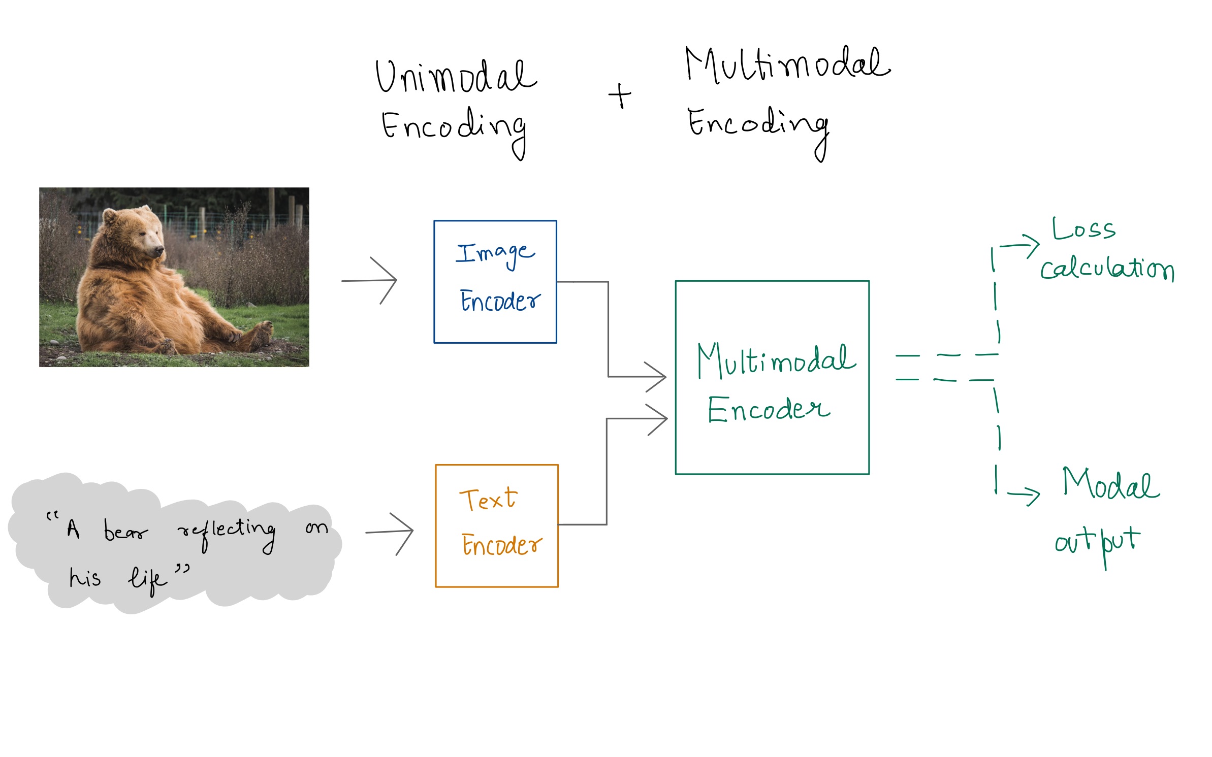 multimodal encoding